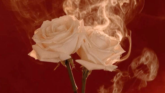 𝐇𝐞𝐚𝐥 𝐌𝐨𝐧𝐞𝐲 𝐑𝐞𝐥𝐚𝐭𝐢𝐨𝐧𝐬𝐡𝐢𝐩 ☘︎ ݁˖ | Money Block Removal | 𝗠𝗢𝗡𝗘𝗬 𝗟𝗢𝗩𝗘𝗦 𝗬𝗢𝗨! (Permanent)