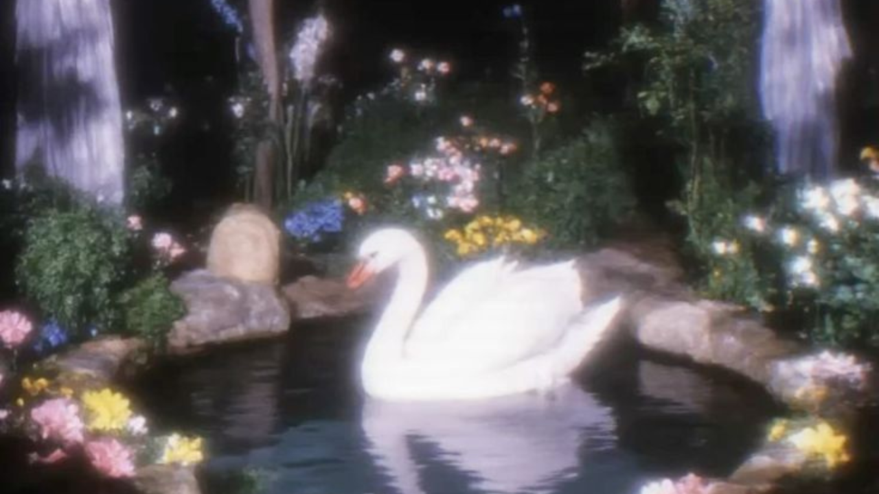 🕯️ 𝐌𝐚𝐧𝐢𝐟𝐞𝐬𝐭 𝐛𝐥𝐞𝐬𝐬𝐢𝐧𝐠𝐬 𝐟𝐨𝐫 𝐎𝐓𝐇𝐄𝐑𝐒. | Spread Positivity to your Loved Ones | 𝘔𝘪𝘳𝘢𝘤𝘭𝘦 𝘞𝘢𝘷𝘦𝘴