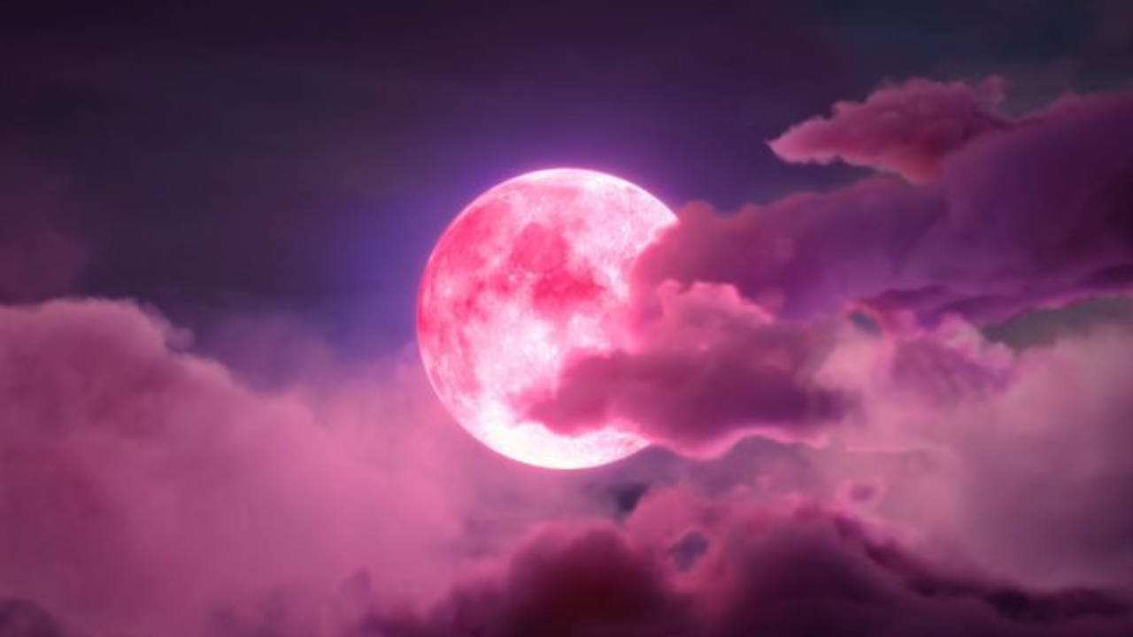 Happiest Relationship EVER! ✧ SP Manifestation & Love Upgrade Subliminal